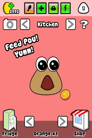 Pou