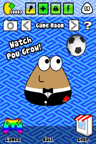 Pou